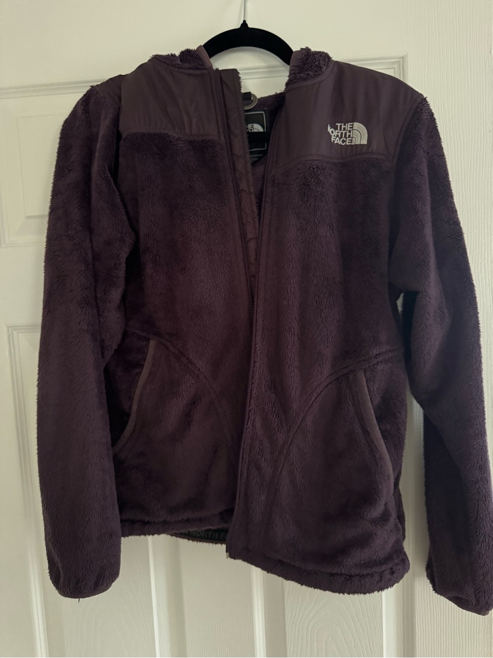 The North Face Plush Fleece Jacket in Plum